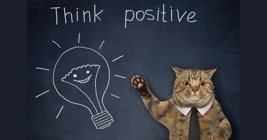 🧠 What Is My Cat Thinking? Understanding Feline Body Language